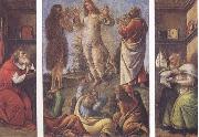 Sandro Botticelli Transfiguration,with St Jerome(at left) and St Augustine(at right) Spain oil painting artist